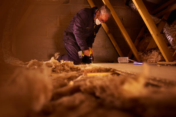 Best Spray Foam Insulation  in Frontenac, MO